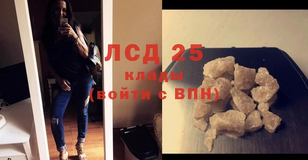 шишки Аркадак