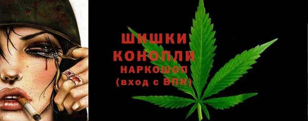 шишки Аркадак