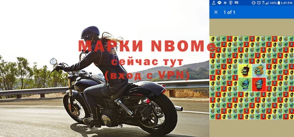 шишки Аркадак