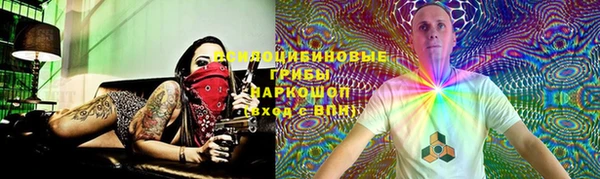 прущий лед Арсеньев