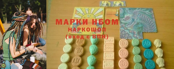 шишки Аркадак