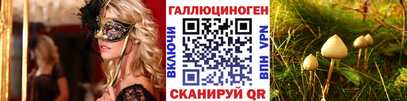 Галлюциногенные грибы прущие грибы  мориарти официальный сайт  Новосокольники 